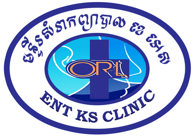 KS Logo logo